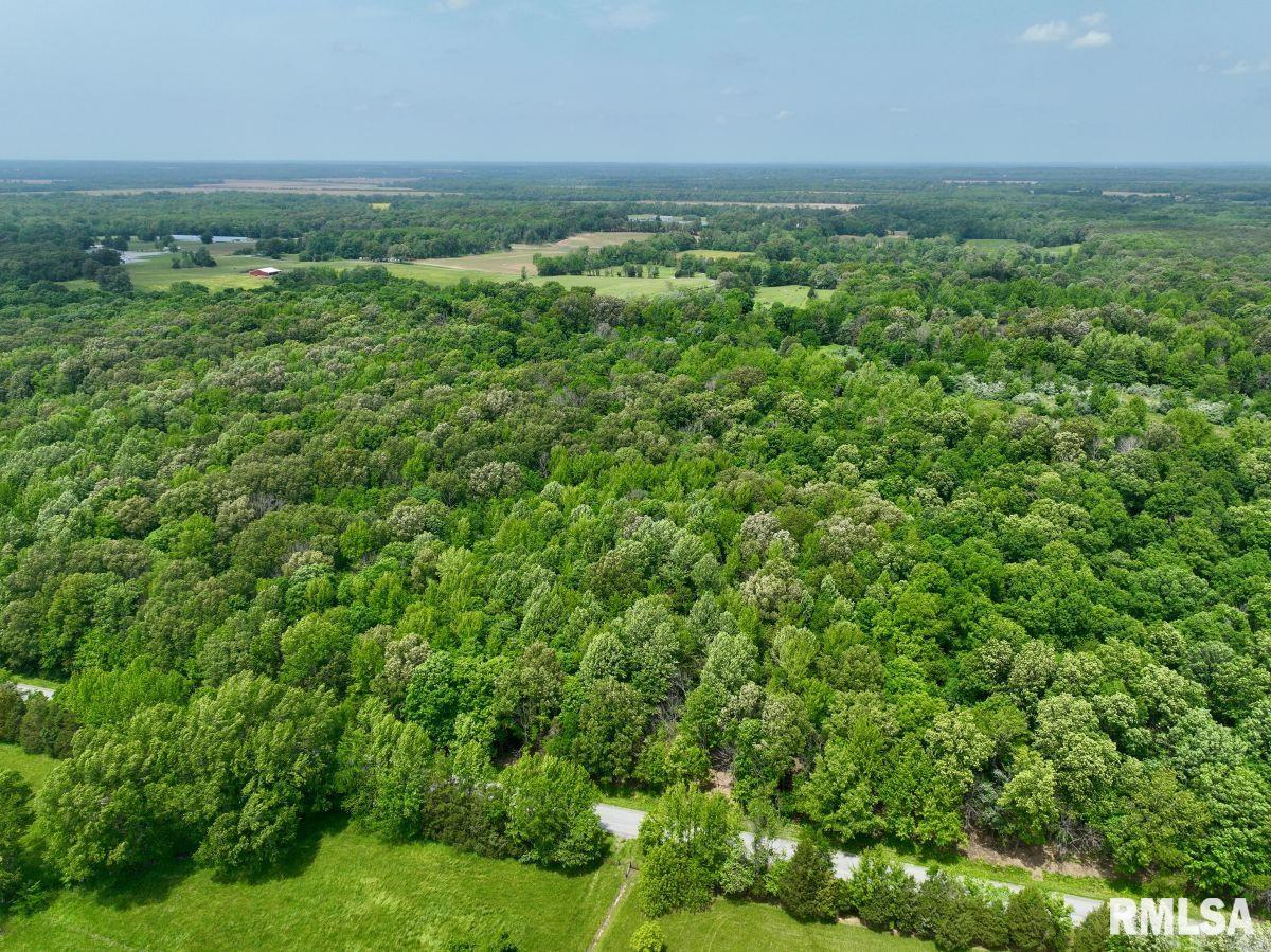 2 Battleford Road Stonefort, IL 62987 - Photo 9 of 25