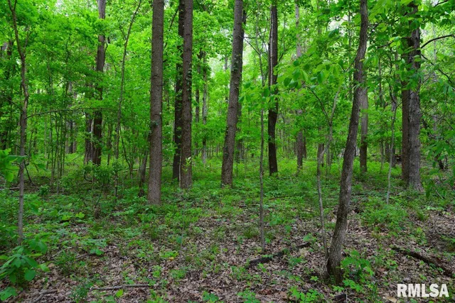 $42,475 | 2 Battleford Road, Stonefort, IL 62987