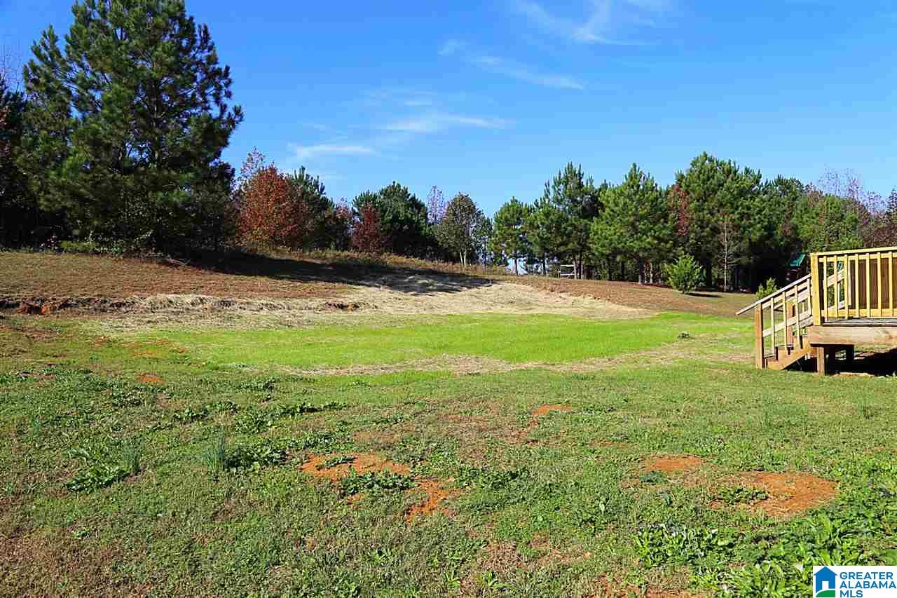 2185 Oscar Bradford Road Hayden, AL 35079 - Photo 5 of 15