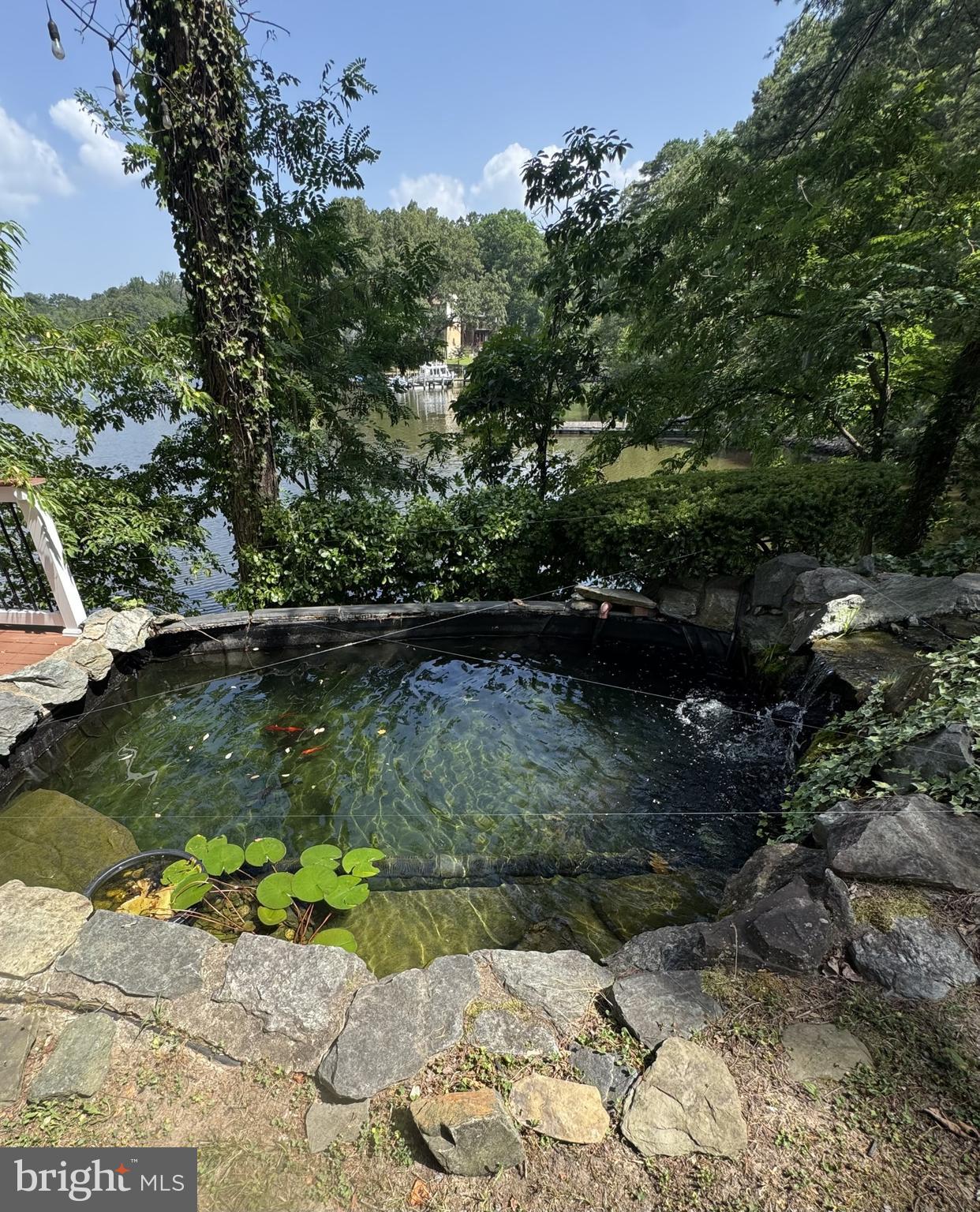 300 Magothy Bridge Road Pasadena, MD 21122 - Photo 78 of 117 Koi Pond