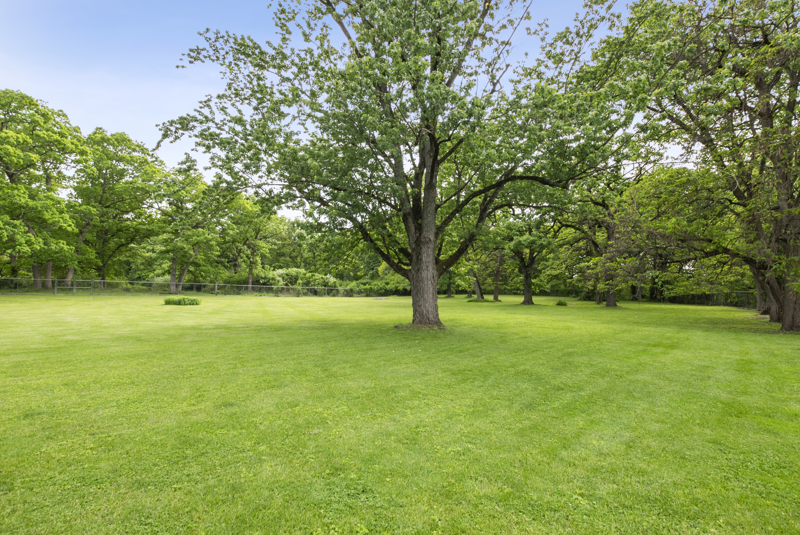 1801 West Richton Road Crete, IL 60417 - Photo 28 of 36
