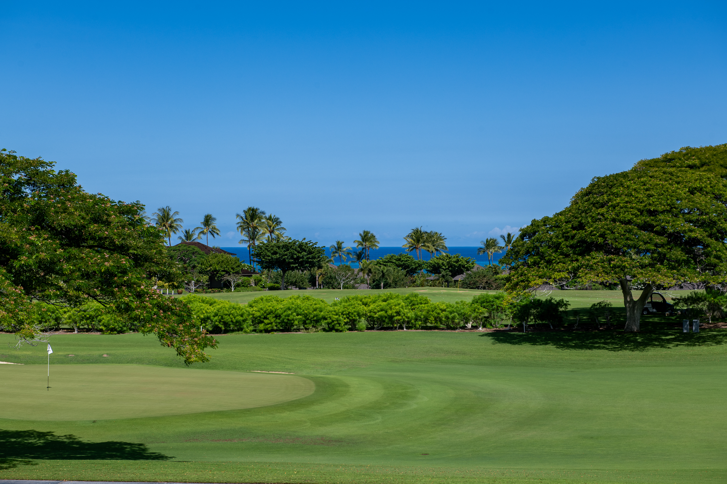 a big yard with lots of green space