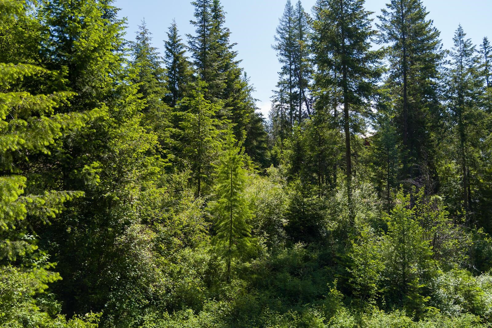 1071 Middle Basin Road Colville, WA 99114 - Photo 16 of 16
