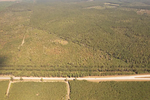 $260,000 | Tbd Old CC Camp Road, Greeleyville, SC 29056