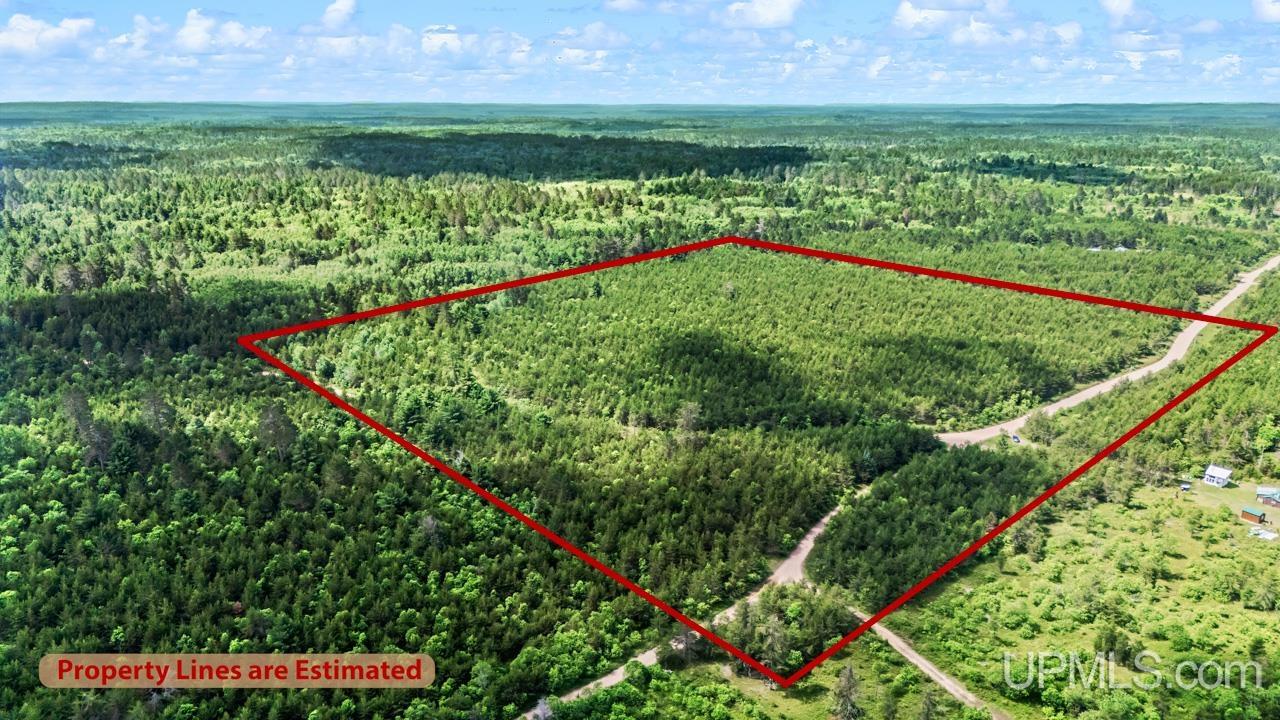 Tbd Bryan Creek Road Ishpeming, MI 49849 - Photo 1 of 16