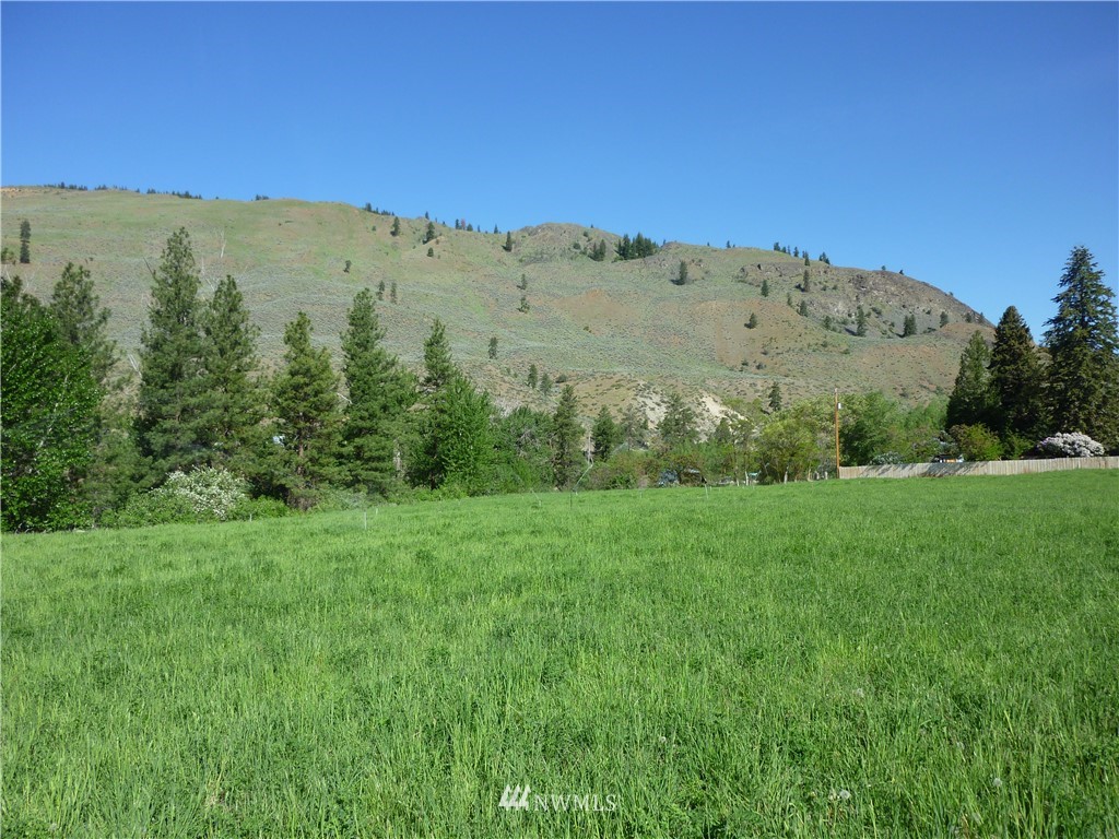 23 Ross Road Twisp, WA 98856 - Photo 3 of 8 Gallery Image 3