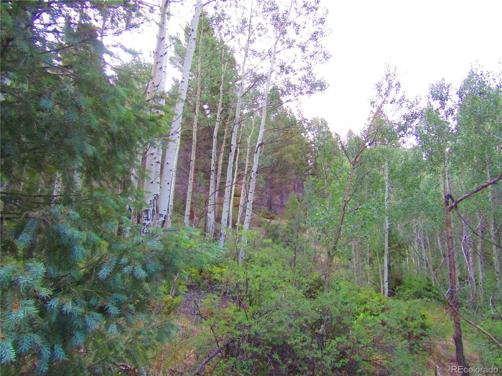 Lot 6461 Jacquez Road San Luis, CO 81152 - Photo 5 of 22