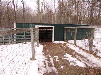 10140 West Colby Road Gowen, MI 49326 - Photo 3 of 23 Additional Photo
