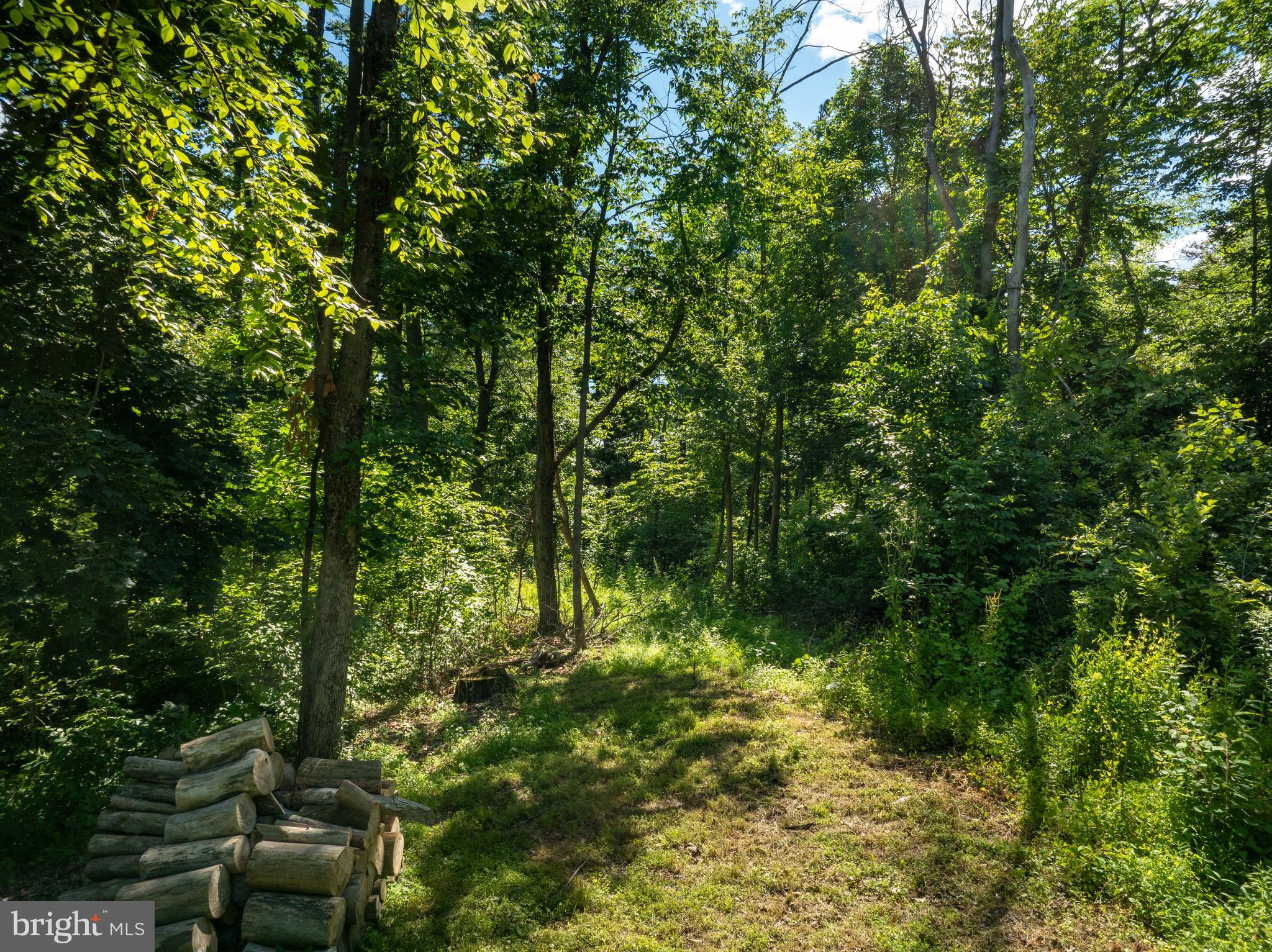 19 West Mountain Road McVeytown, PA 17051 - Photo 6 of 27