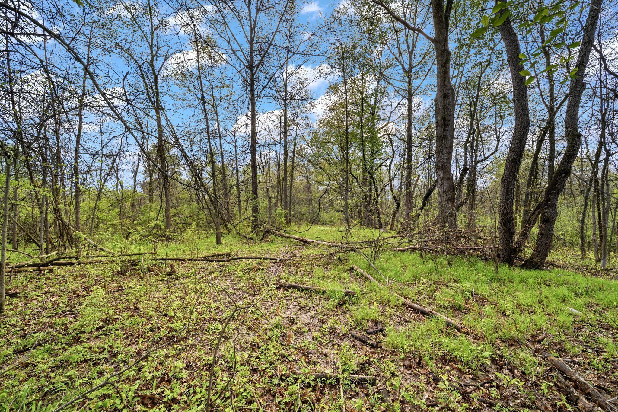 0 Lantz Road Mansfield, OH 44906 - Photo 9 of 28 AF1A3459