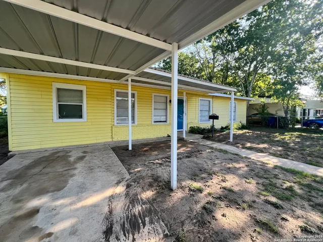 a view of a backyard with plants and large tree