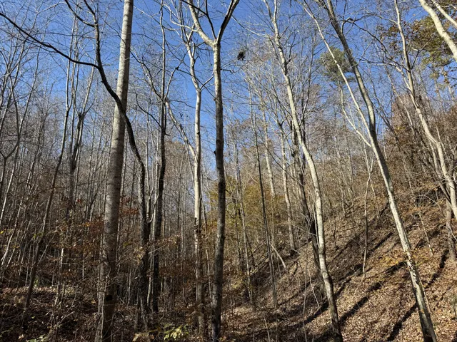 a view of under construction area