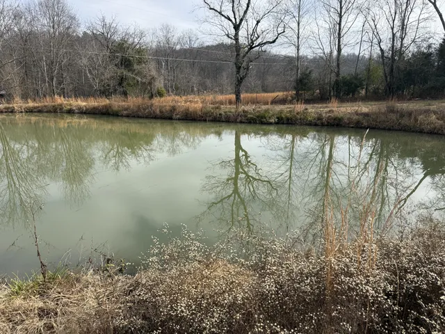 a picture of a glass door with a yard