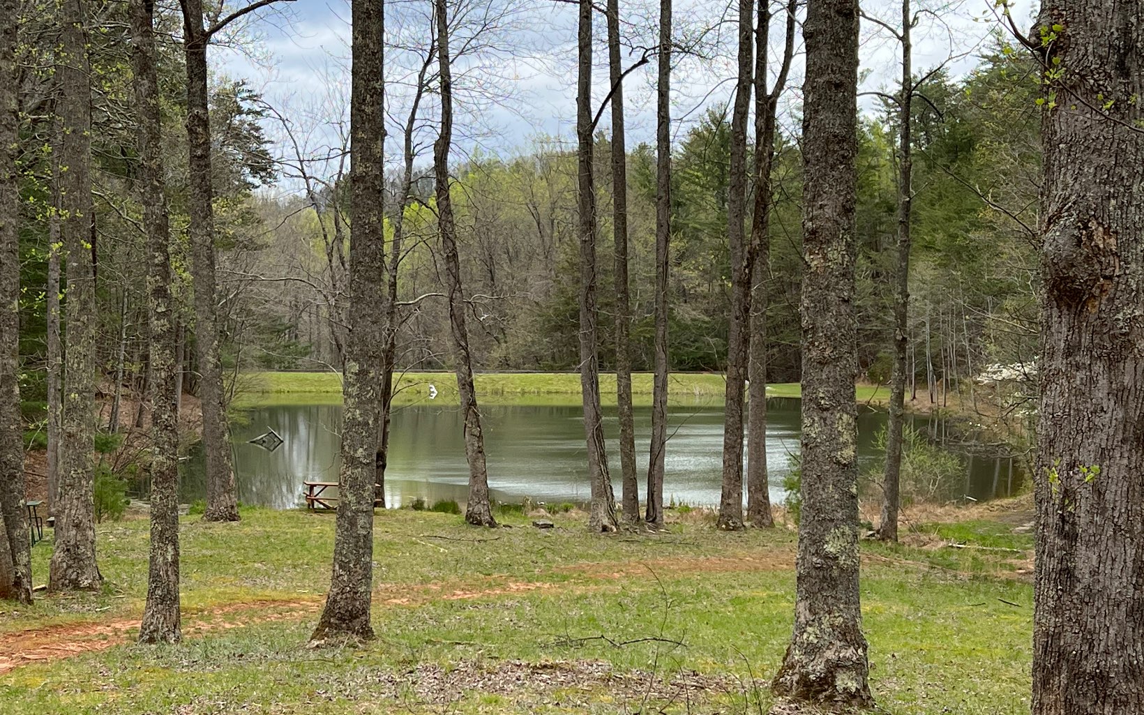 J-214 Walnut Mountain Road Ellijay, GA 30536 - Photo 23 of 23 a backyard of a house with a yard and outdoor seating
