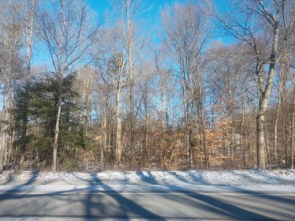 $74,900 | Lot B Lot B 142nd Avenue, Dorr, MI 49323