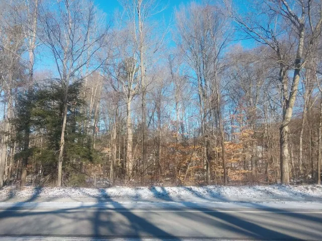 $74,900 | Lot B Lot B 142nd Avenue, Dorr, MI 49323