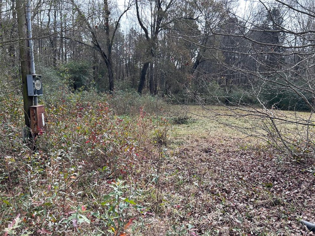 Lot 4 Kaye Drive Anderson, SC 29624 - Photo 13 of 14