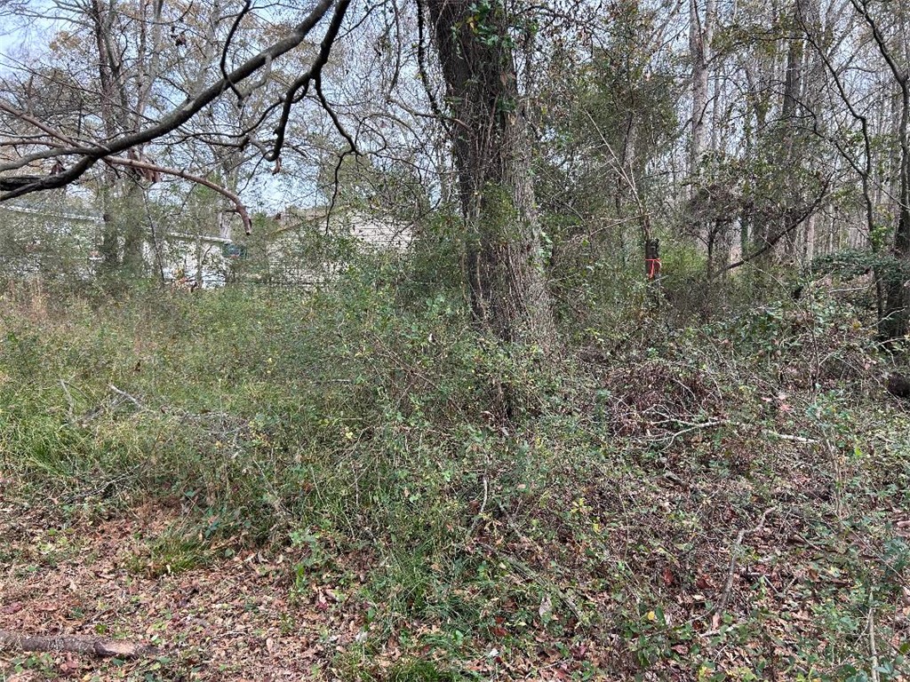 Lot 4 Kaye Drive Anderson, SC 29624 - Photo 5 of 14