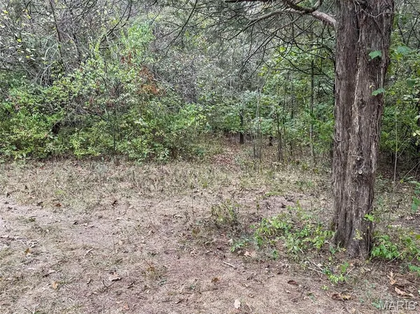 $335,000 | 4477 White Rock Road, Festus, MO 63028