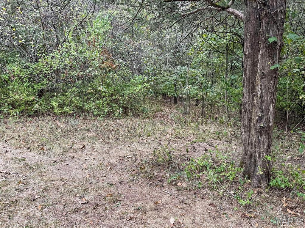 4477 White Rock Road Festus, MO 63028 - Photo 18 of 21