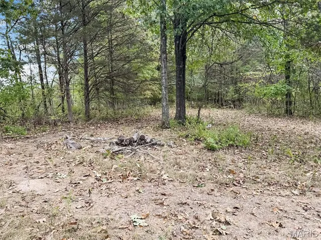 $335,000 | 4477 White Rock Road, Festus, MO 63028