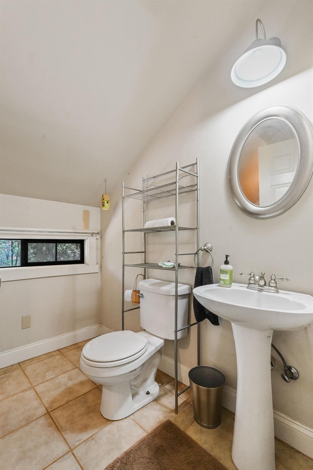6640 Railroad Flat Road Mountain Ranch, CA 95246 - Photo 21 of 60 a bathroom with a toilet a sink and a mirror