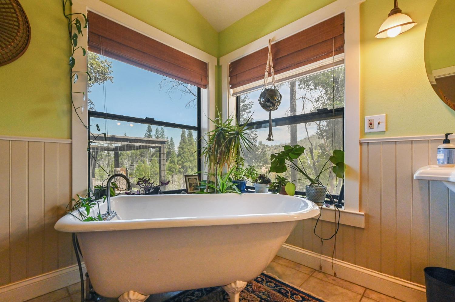 6640 Railroad Flat Road Mountain Ranch, CA 95246 - Photo 26 of 60