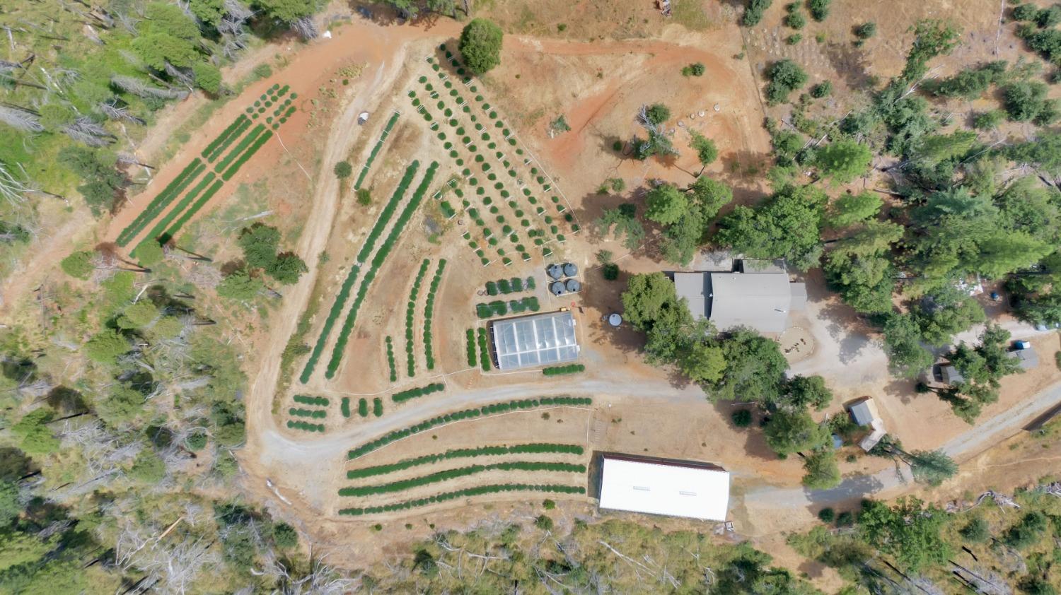 6640 Railroad Flat Road Mountain Ranch, CA 95246 - Photo 33 of 60