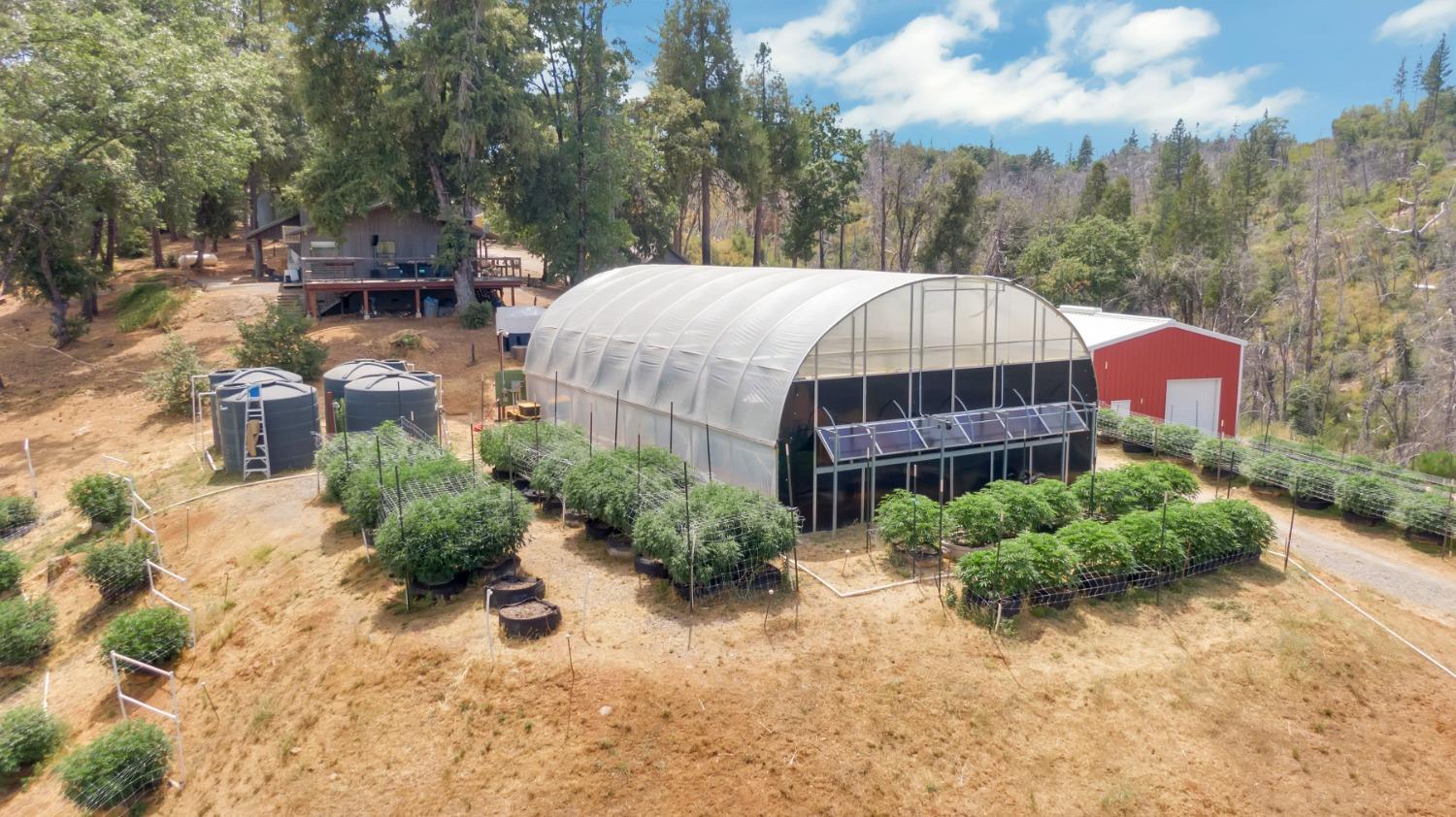 6640 Railroad Flat Road Mountain Ranch, CA 95246 - Photo 35 of 60 a view of a house with pool and sitting area