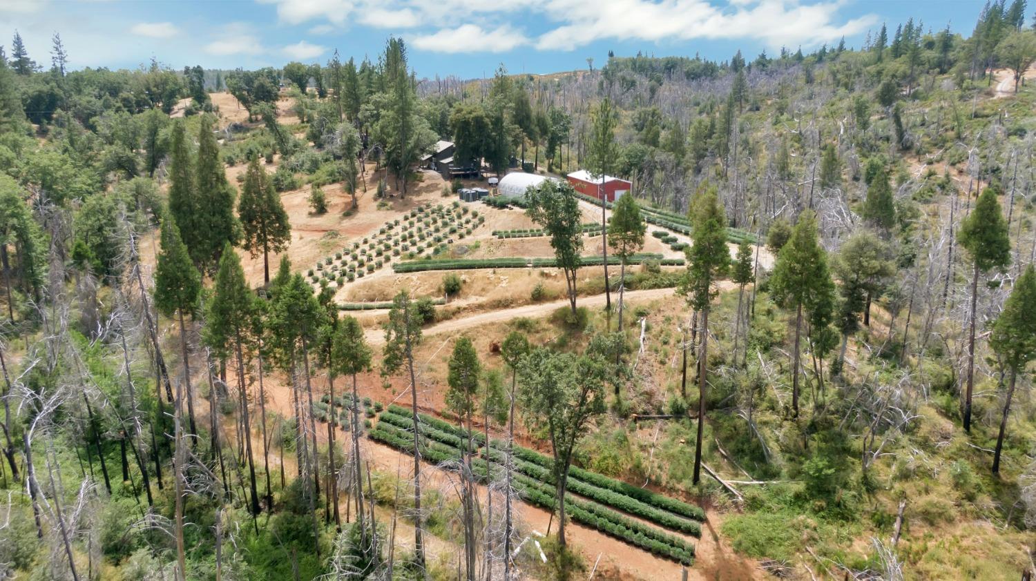 6640 Railroad Flat Road Mountain Ranch, CA 95246 - Photo 37 of 60 a view of a yard with an outdoor seating