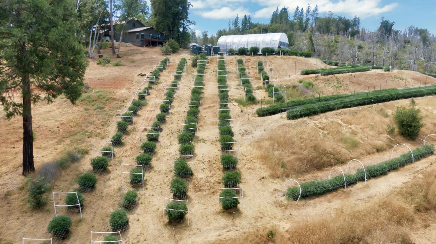 6640 Railroad Flat Road Mountain Ranch, CA 95246 - Photo 38 of 60