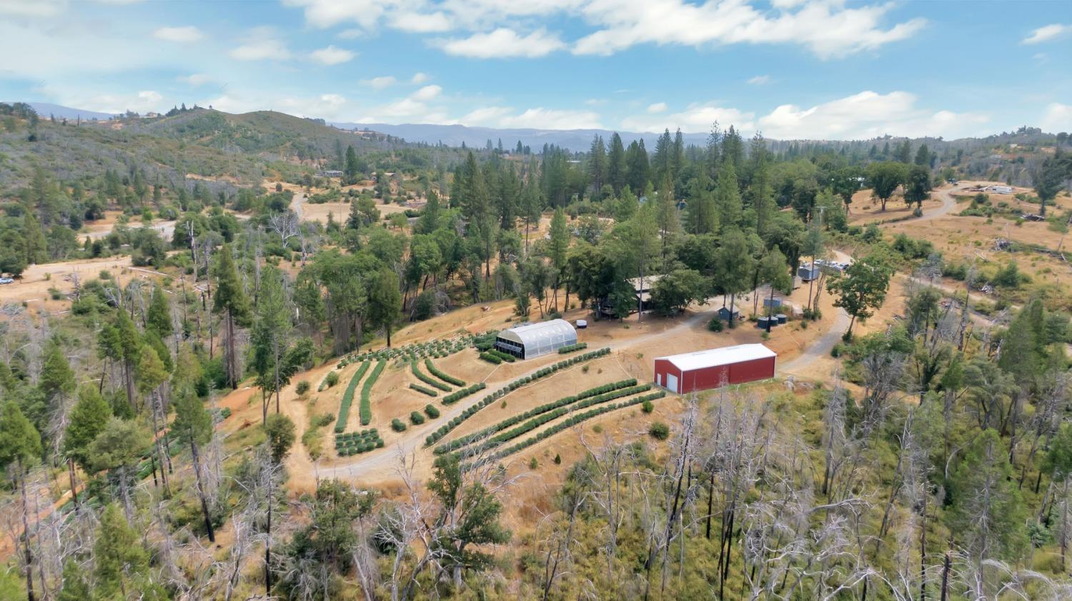 6640 Railroad Flat Road Mountain Ranch, CA 95246 - Photo 39 of 60 a view of a chairs and table in the terrace