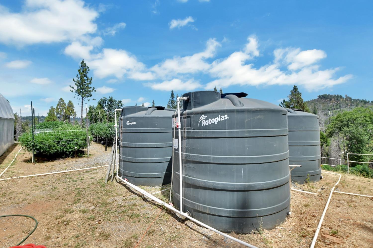 6640 Railroad Flat Road Mountain Ranch, CA 95246 - Photo 42 of 60