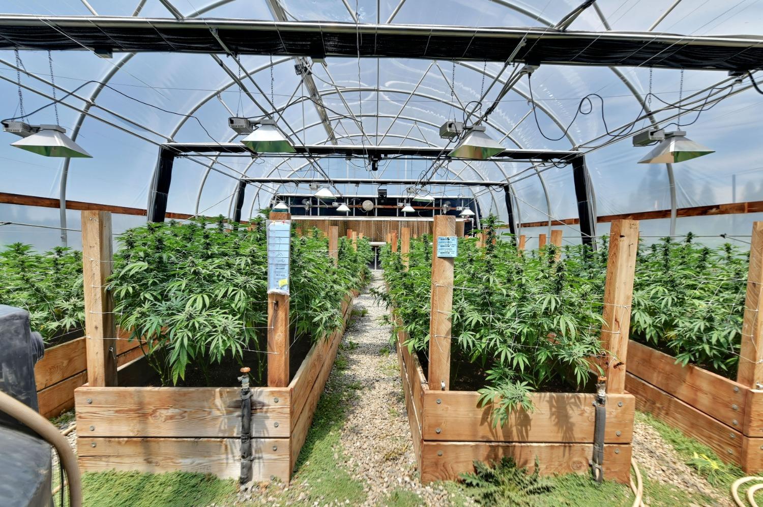 6640 Railroad Flat Road Mountain Ranch, CA 95246 - Photo 46 of 60 a view of a patio