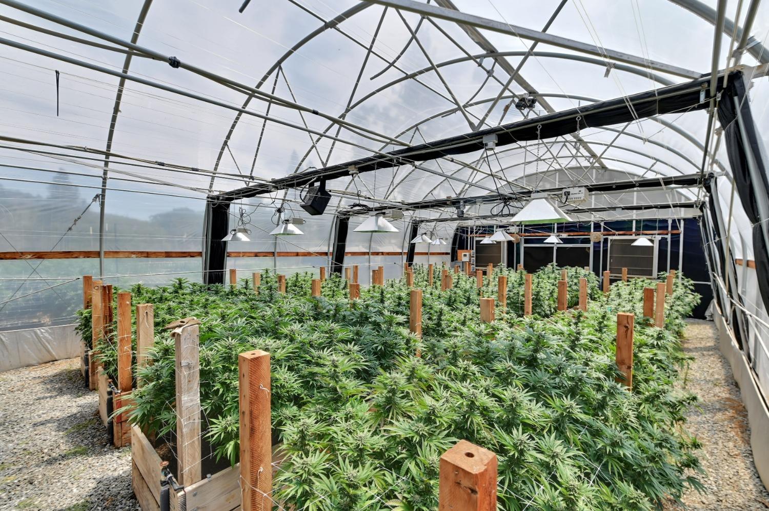 6640 Railroad Flat Road Mountain Ranch, CA 95246 - Photo 47 of 60 a view of a house with a small yard and plants