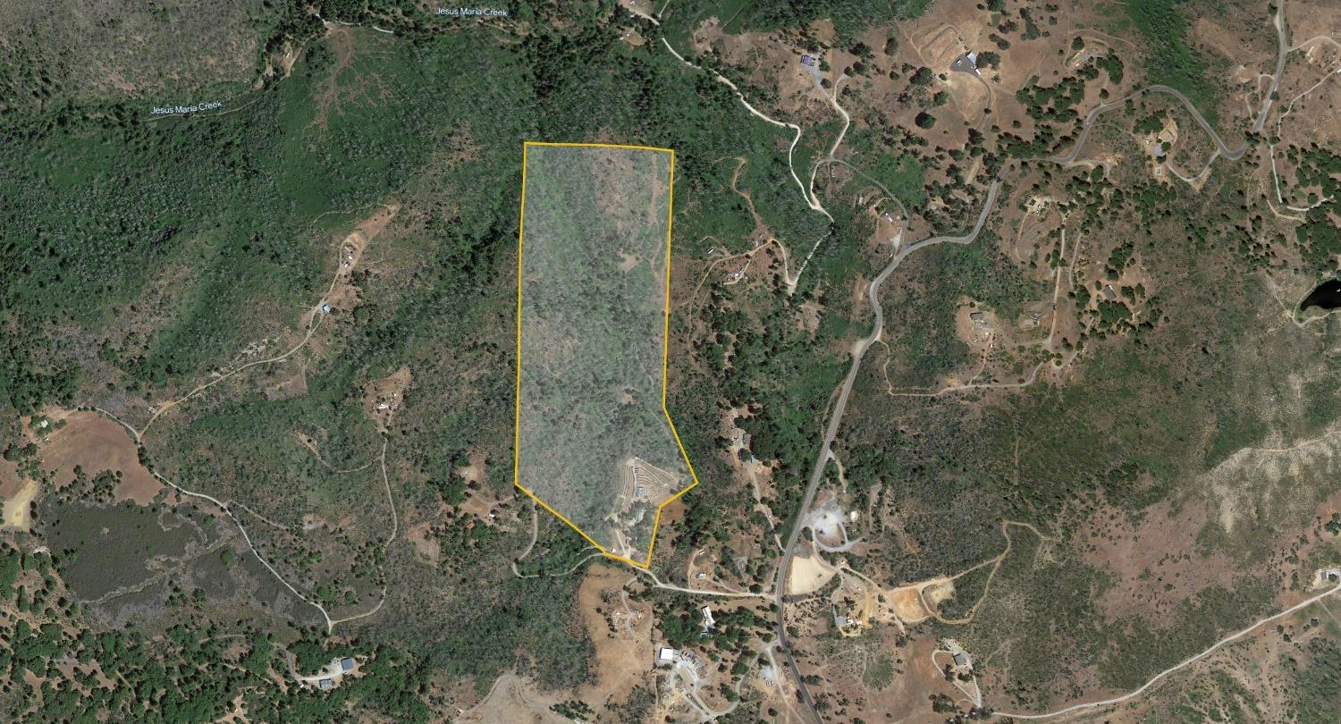 6640 Railroad Flat Road Mountain Ranch, CA 95246 - Photo 51 of 60 a picture of a tree in a forest