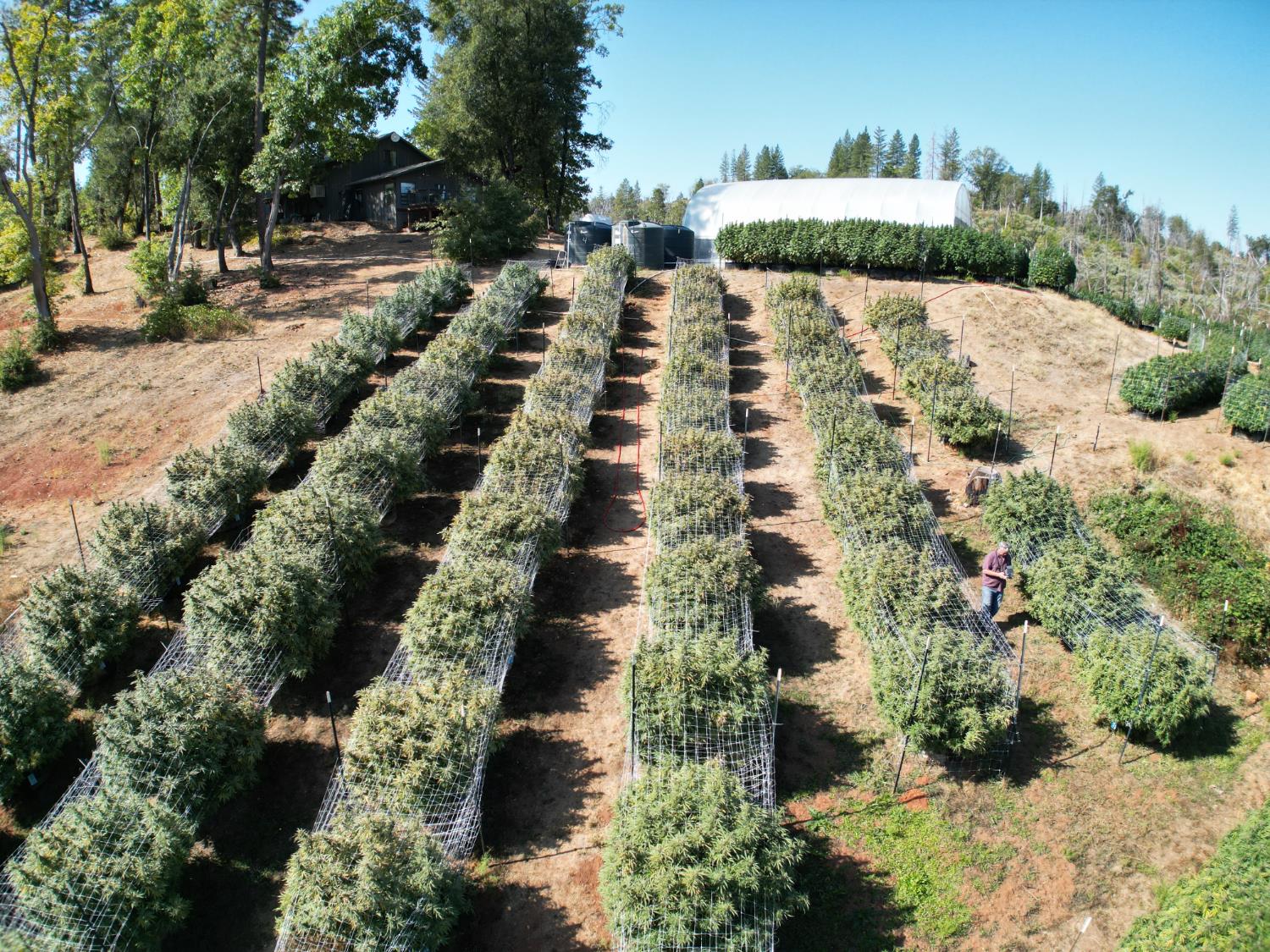 6640 Railroad Flat Road Mountain Ranch, CA 95246 - Photo 59 of 60 a view of swimming pool