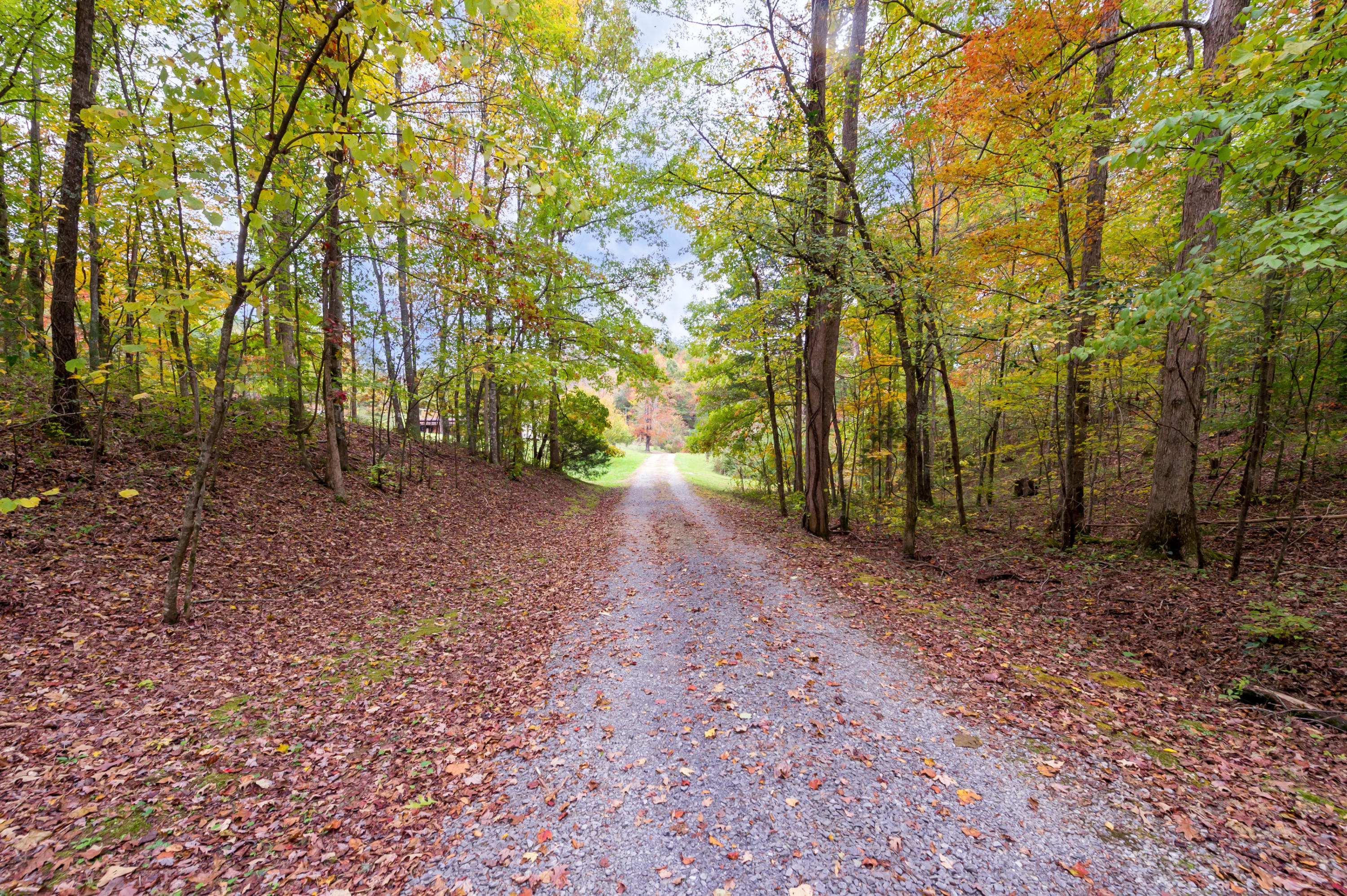 828 Citico Road Vonore, TN 37885 - Photo 2 of 31 HOB_1444-Edit