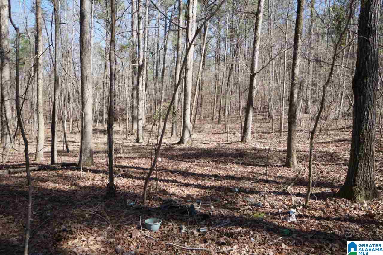 Mystic Valley View, Unit 1 Sterrett, AL 35147 - Photo 18 of 33