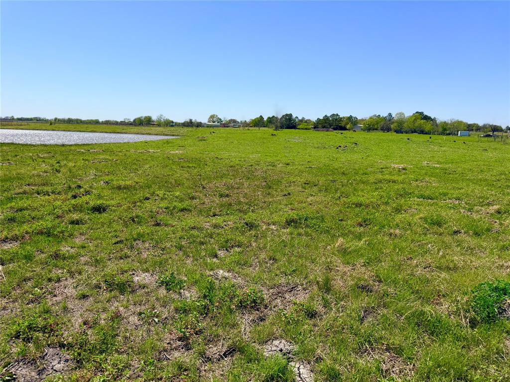 603 Combine Road Seagoville, TX 75159 - Photo 8 of 11