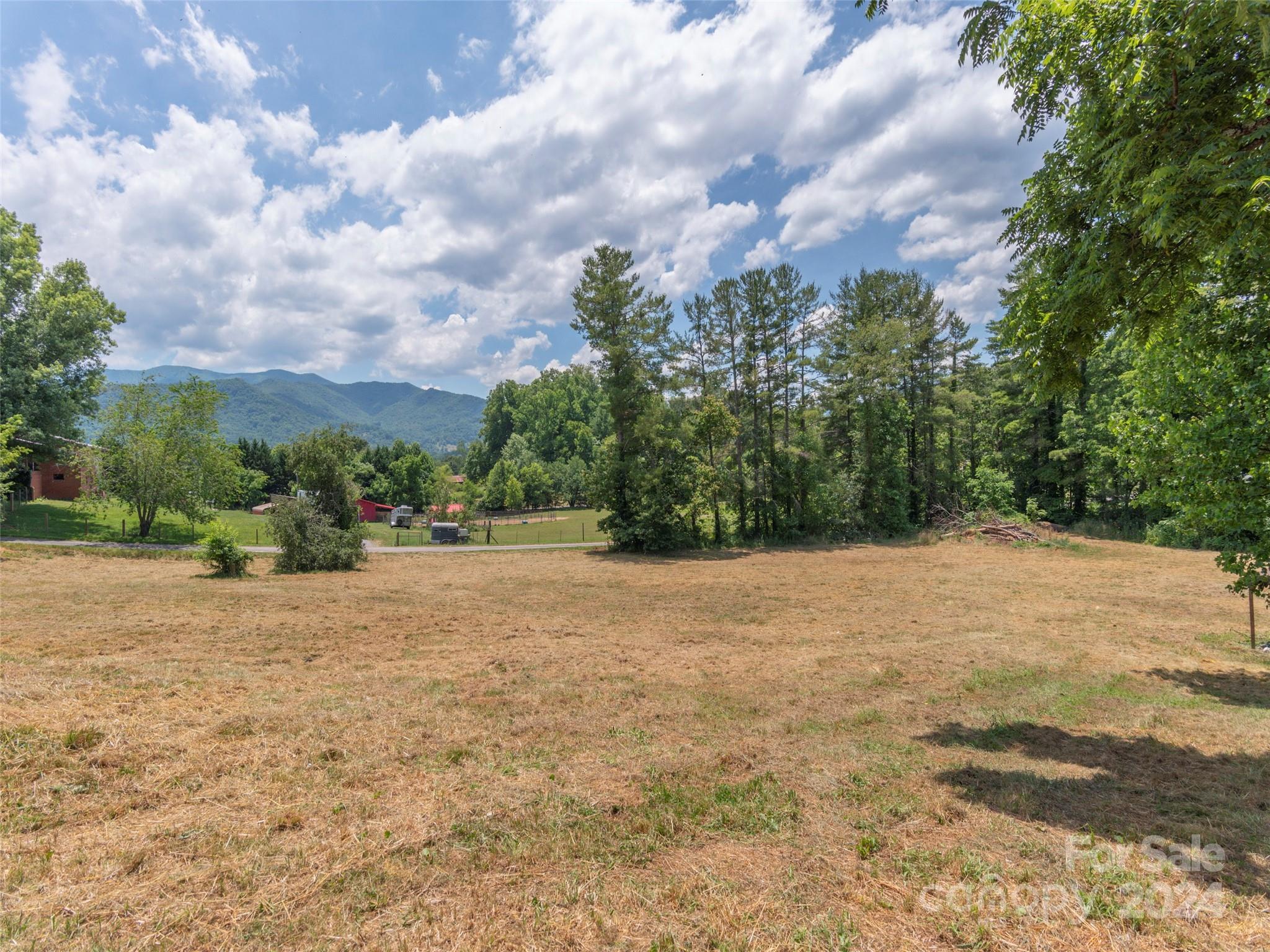 313 Peters Cove Road Waynesville, NC 28786 - Photo 38 of 48 Gallery Image 38
