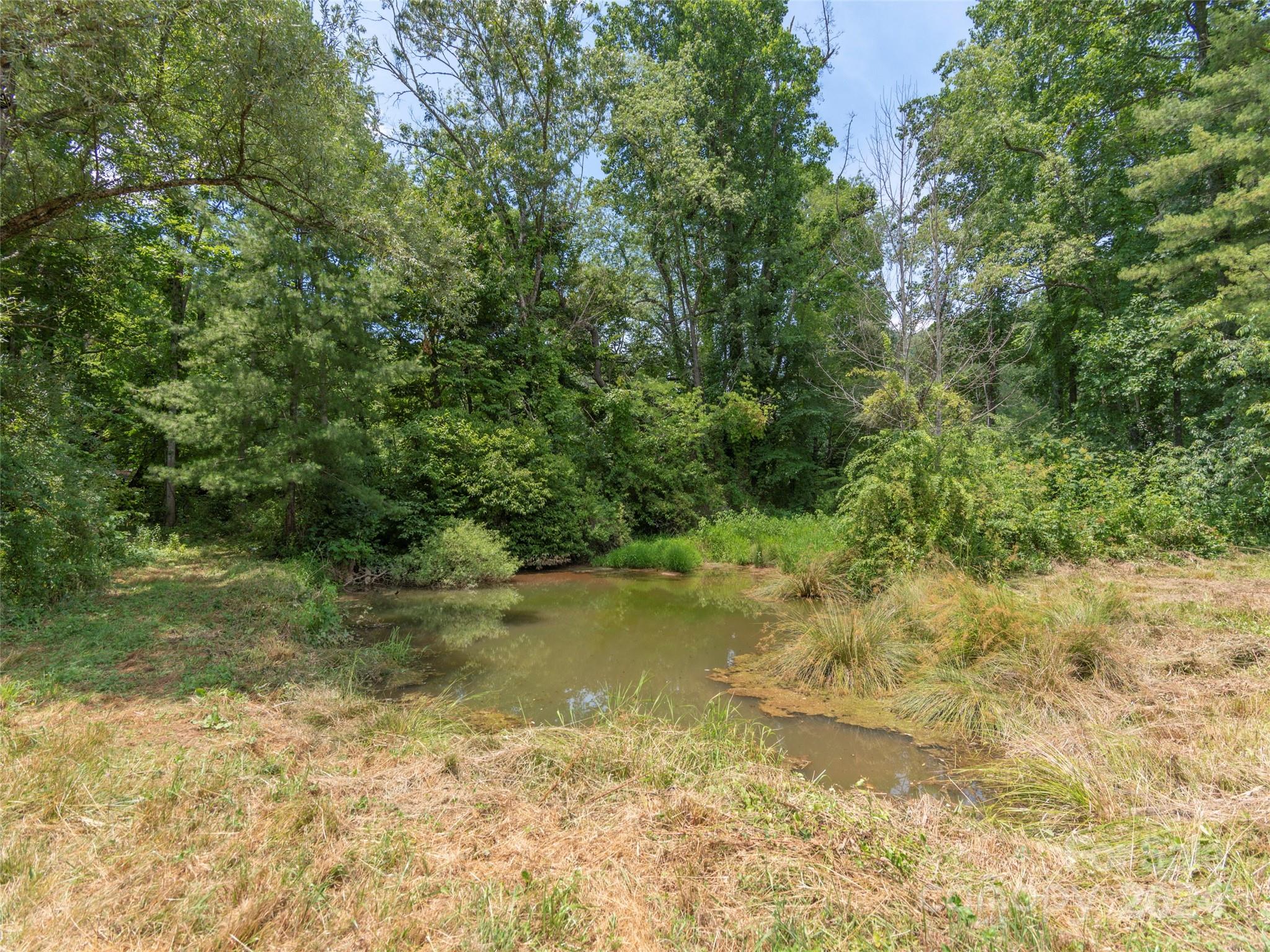 313 Peters Cove Road Waynesville, NC 28786 - Photo 41 of 48 Gallery Image 41