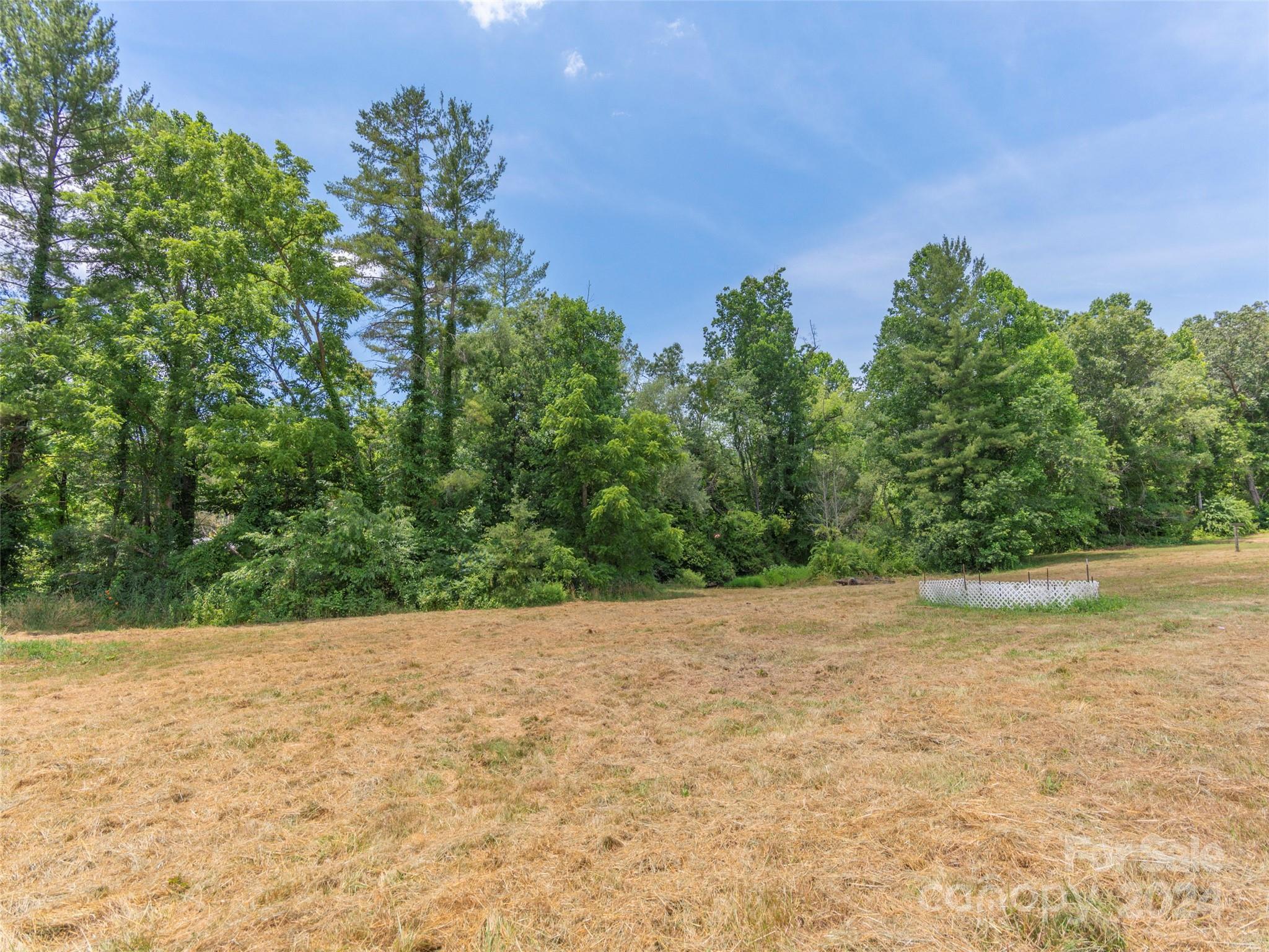 313 Peters Cove Road Waynesville, NC 28786 - Photo 44 of 48 Gallery Image 44