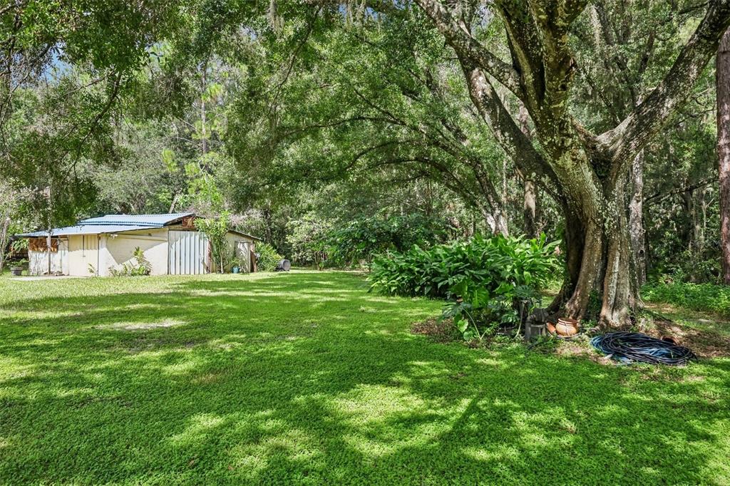 33245 Mandrake Road Wesley Chapel, FL 33543 - Photo 30 of 43 Gallery Image 30