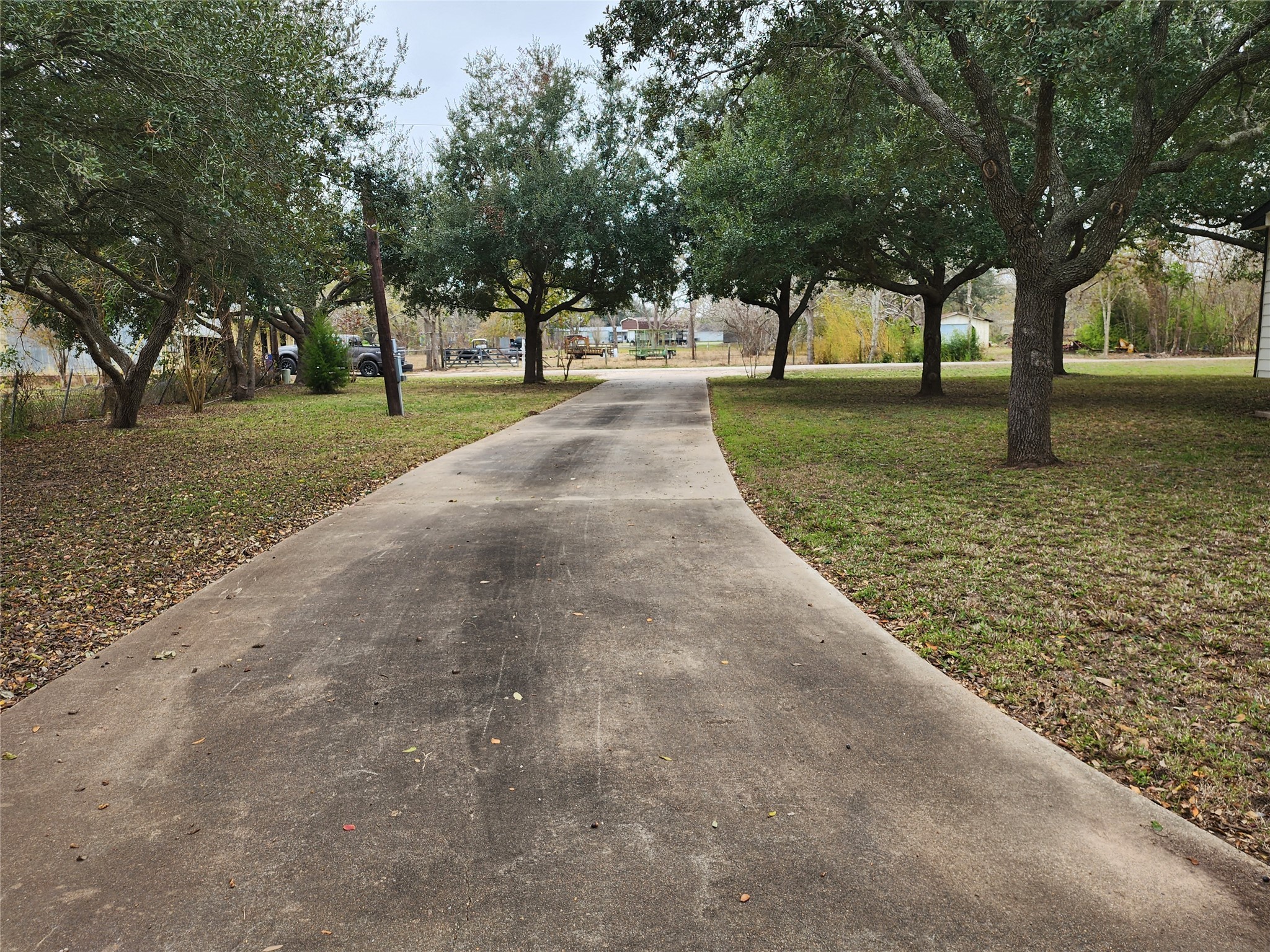 1491 Pecan Valley Road Wharton, TX 77488 - Photo 29 of 38 This photo shows a long, Concrete driveway leading to a home, framed by mature trees on both sides, offering a serene and welcoming entrance.