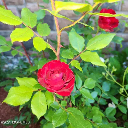 $17,500 | 504 Emory Street, Unit 2, Asbury Park, NJ 07712