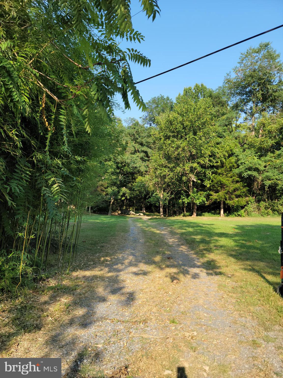 546 Foreman Road West Shepherdstown, WV 25443 - Photo 3 of 7 Driveway