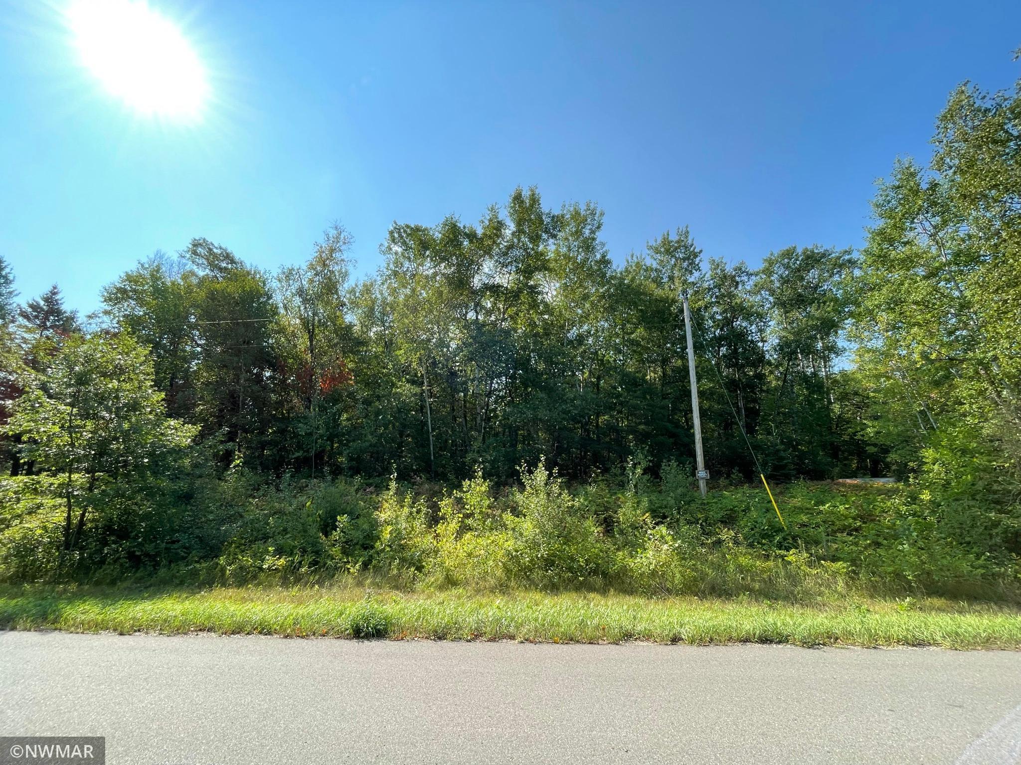344-xx 344-xx Hubble Pond Road Rochert, MN 56578 - Photo 1 of 1 Gallery Image 1