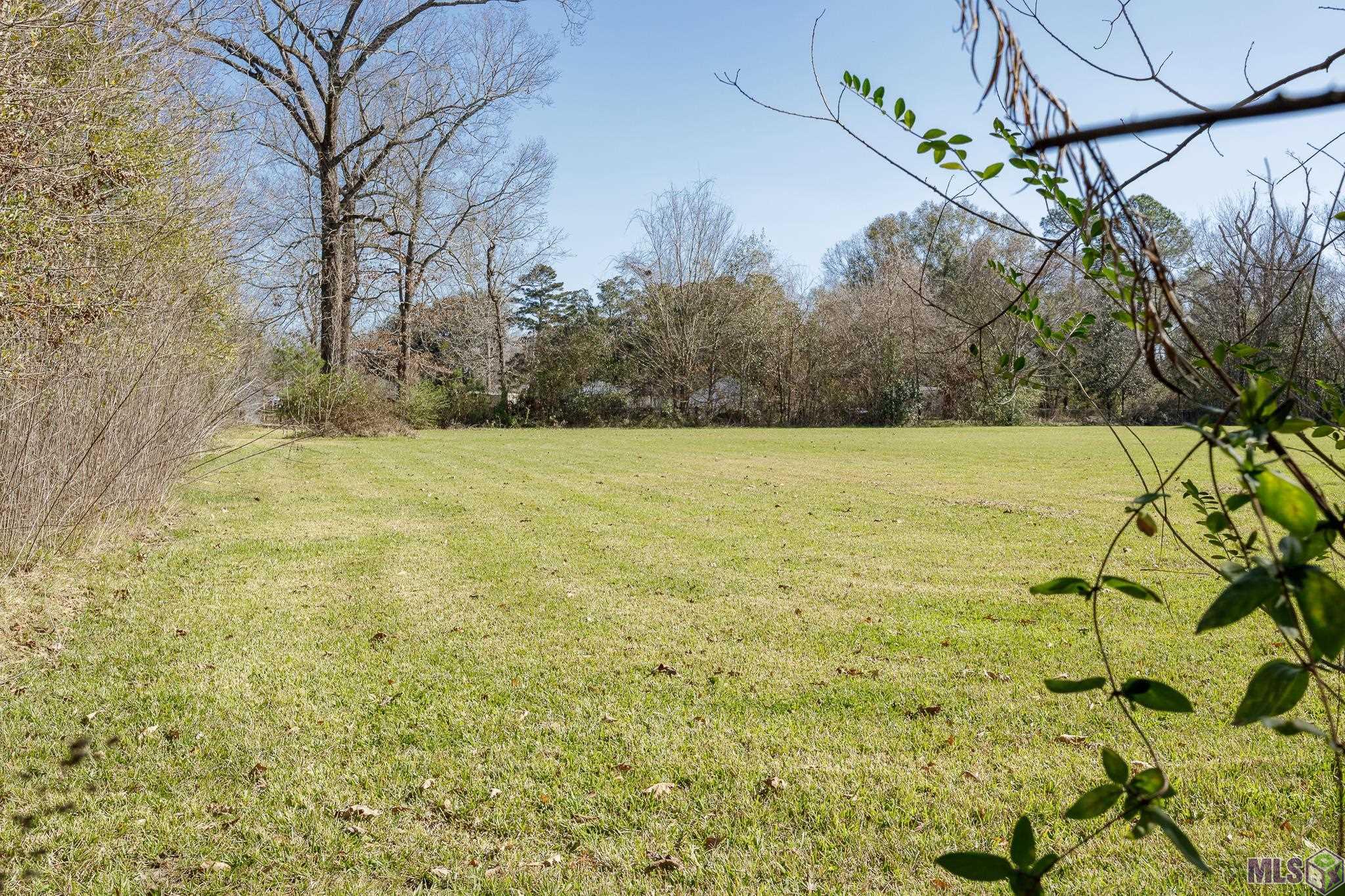 Tbd Lanier Drive Baton Rouge, LA 70812 - Photo 4 of 16