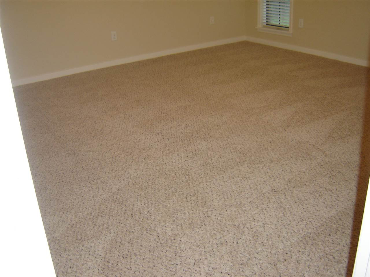 209 Harbour View Road Brandon, MS 39047 - Photo 12 of 21 Photo 12